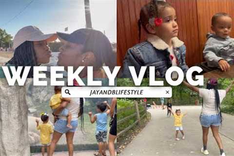 END OF OCTOBER VLOG | SHOPPING | ZOO | PUMPKIN PATCH | CATCH UP WITH US