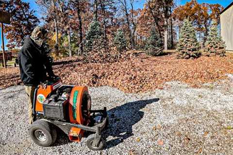 $1,500 LEAF CLEANUP That I would've NEVER Tackled Without This..
