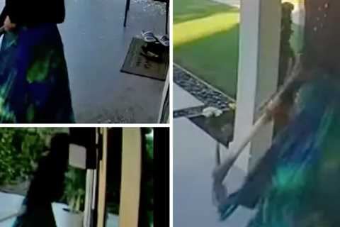 Woman Attacks Home with Pickaxe In Terrifying Surveillance Video, Smashes Window Where 6-Week-Old..