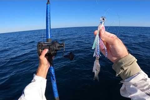 Offshore Fishing On Lake Atlantic - Epic Surprise Catch!