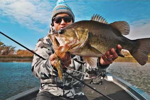 The PERFECT Fall Bass Fishing Day!