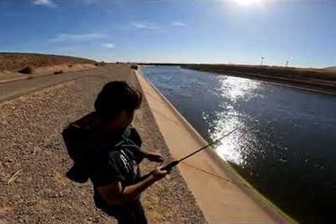 California Aqueduct fishing | DMC fishing | Great day. WAIT TILL THE END!!!