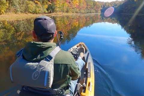 Strange Sightings and Big Bass