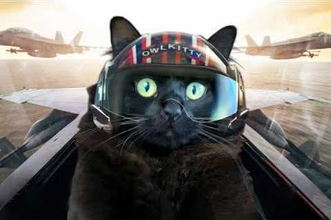 Top Gun with a Cat