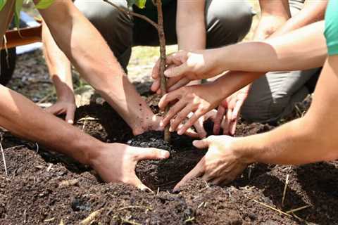 What To Know To Start a Community Garden