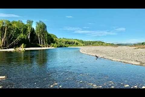 OCTOBER FLY FISHING IN NEW ZEALAND, SO MANY FISH!!