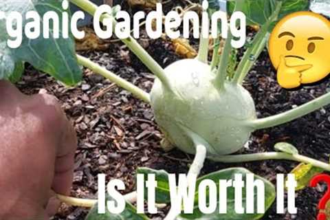 Is Organic Gardening Worth It? Myths And Lies / 6 Reasons