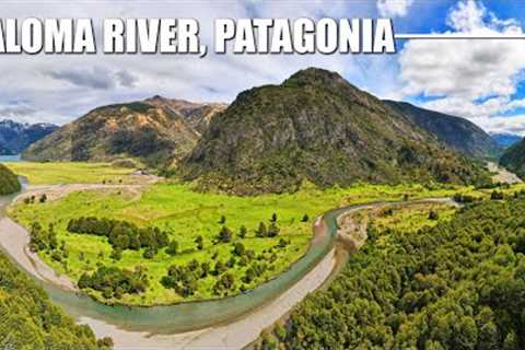 Fly Fishing Patagonia's Paloma River - WIND &amp; Rainbow &amp; Brown Trout on Big Dry Flies &amp;..