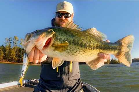 Fall Fishing For Bass Is Easy!! (Here's How We Do It)