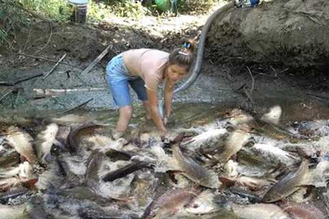 Unique fishing - Girl catching a lot of fish in a wild lake by using a big pump to suck water