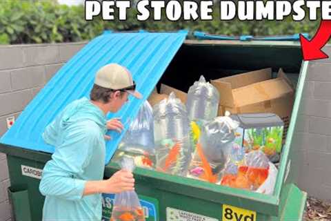 Saving Fish Left to DIE in Pet Store Dumpster!