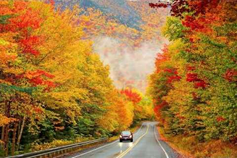 Relaxing Piano Music with anxiety and stress disorders Autumn Nature - Peaceful Instrumental Music