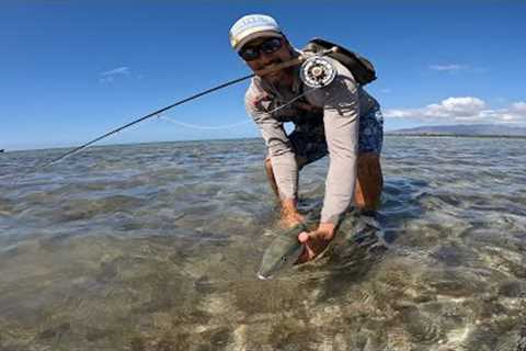 Fly Fishing for Bonefish at Hickam, Hawaii