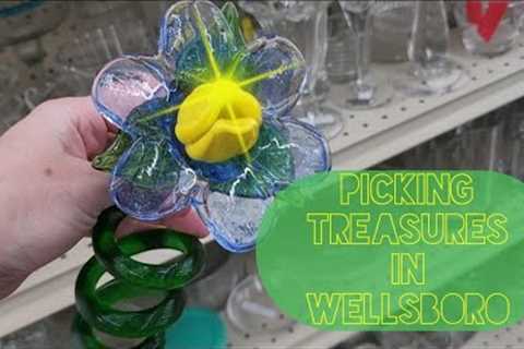 Picking Treasures in Wellsboro - Shop Along With Me - Goodwill Thrift Stores