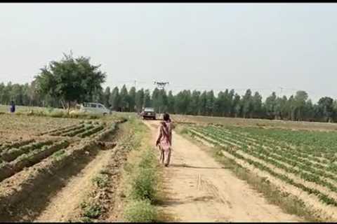 #Drone #Technology used for #spray on Potato fields