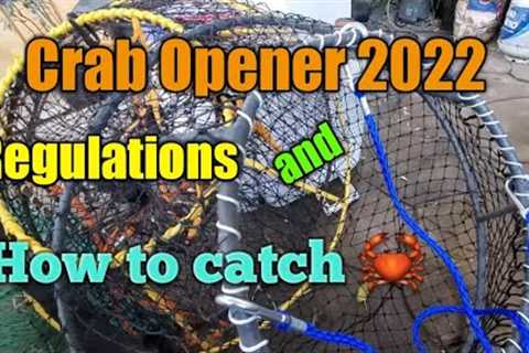 Crab Opener 2022: Regulations and how to catch crabs.