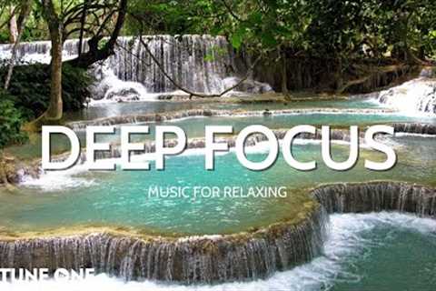 Petaled Flower   Relaxing Piano Music    Music With Beautiful Nature For Health, Reduce Stress