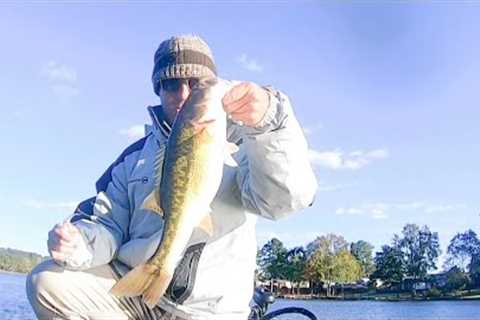 bass fishing logan martin lake mid October 2022