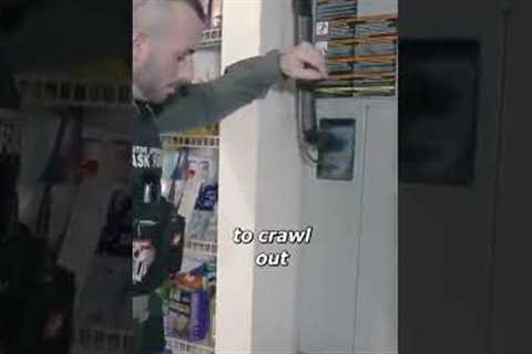 Bail Bond Arrest -I want you to crawl out #shorts