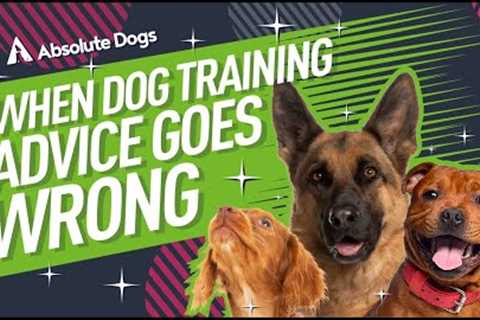 When DOG training ADVICE goes WRONG!