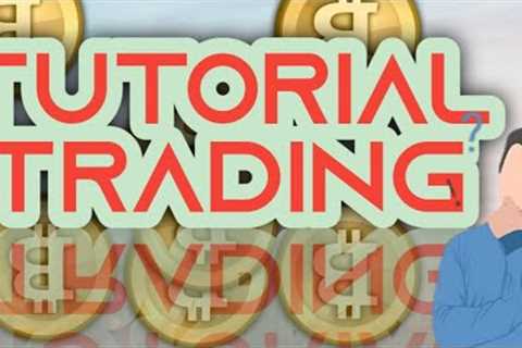 NEITHER CHIRU NOR AN INSURANCE CRYPTO BITCOIN THE PROJECT'S PSEUDONYMOUS FOUNDER ZAGABOND RESPONDED