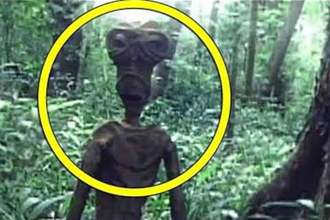 Explorer Captures What No One Was Supposed to See