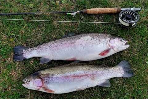 138. An Old Fishing Tip Helped Catch These Trout - Fly Fishing Snakes