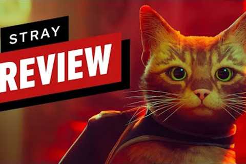 Stray Review