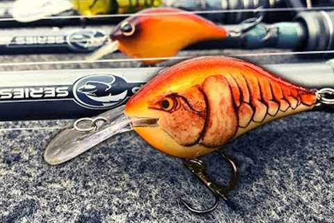 TRULY The Best Way To Catch LATE FALL BASS