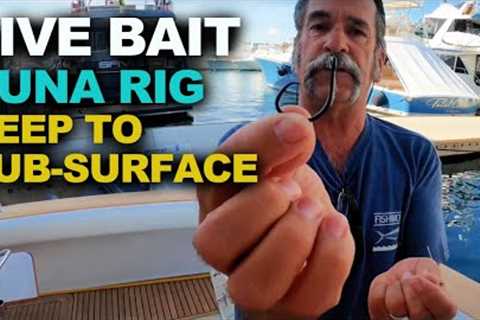 How to Catch Tuna | Live Bait Rig FOR Sub Surface to DEEP