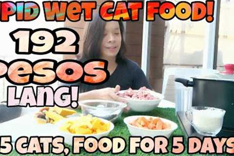 Tipid Homemade cat wet Food Recipe! balance diet!