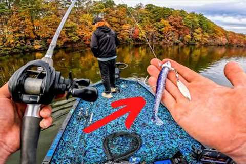 You should do this RIGHT NOW!! Fall Bass Fishing