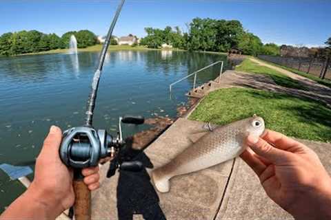 Fishing For GIANT BASS With HUGE SWIMBAITS! (Urban Pond Hopping)