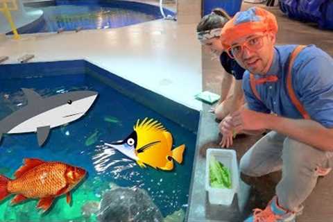 Blippi Visits The Aquarium | Educational Fish and Animals for Kids and Toddlers