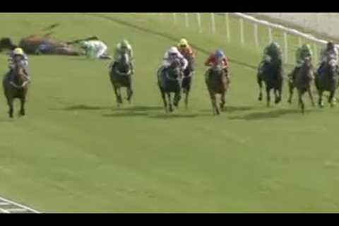 Horse Racing Death 74 - Death of Areen at York Racecourse