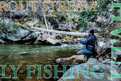Fly Fishing Utah Trout Stream | Uinta Mountains, Brook Trout