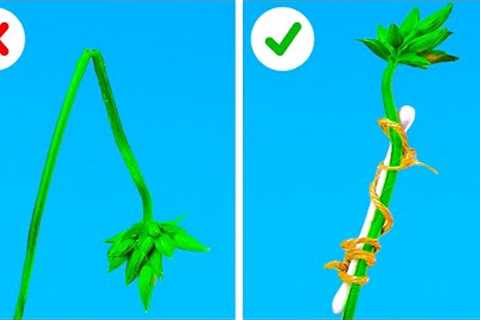 Plants Growing Tips || Easy Gardening Hacks For Beginners