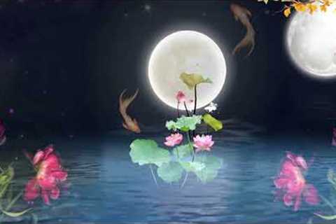 Buddhist Meditation Music -Should Listen to Peace of Mind Reduce Stress Fatigue Stress, Sleep Better