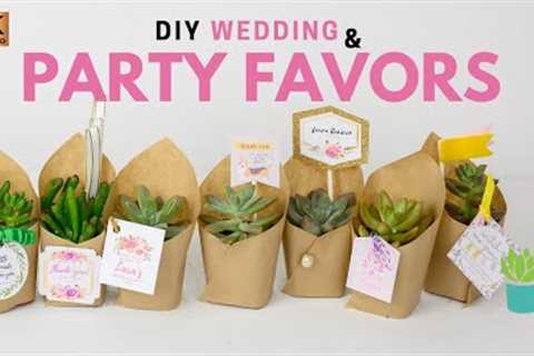 How to Make Wedding Succulent Favors | Party Favors