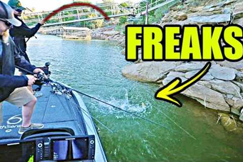 Searching for the FISH OF A LIFETIME 20+ Hours From Home!! (Lake Hopping)