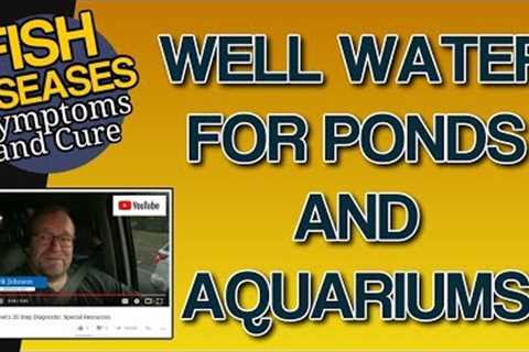 Well Water in an Aquarium or Well Water and Fish Tanks: Safe?
