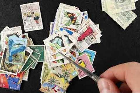 My First Time Valuing A Stamp Collection 2