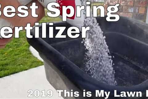 Ginja's spring lawn care fertilization.  2019 Spring lawn care step 1 This is My Lawn