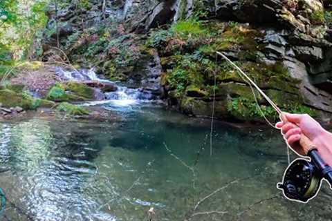 Fly Fishing for an ICE AGE RELIC!! (Trout Fishing &amp; Conservation)