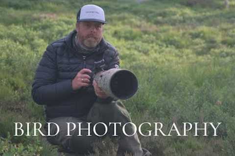 A BIG reward after many hours // BIRD PHOTOGRAPHY tips and tricks
