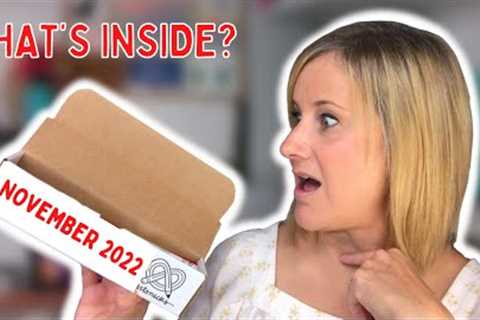 I’m Seeing RED (and black, and white): Unboxing the November 2022 ArtSnacks Art Subscription Box