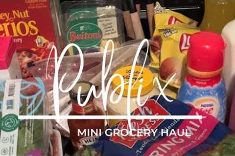 MINI GROCERY HAUL | Publix, Date Night