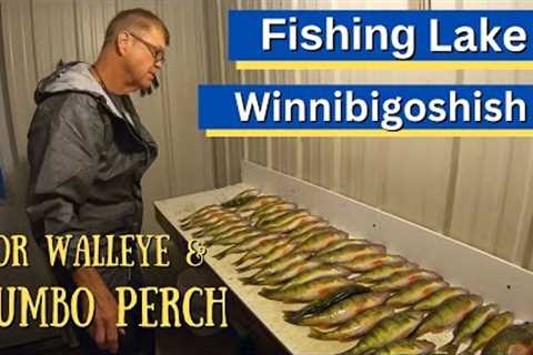 How We Fish Lake Winnibigoshish For Fall Walleye And Jumbo Perch!