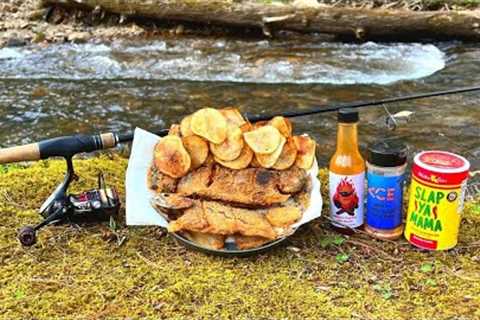 Rainbow Trout Fish n' Chips | Cookout at a Mountain Creek!