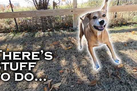 Lawn Care Tips to Fight Boredom This Fall &amp; Winter
